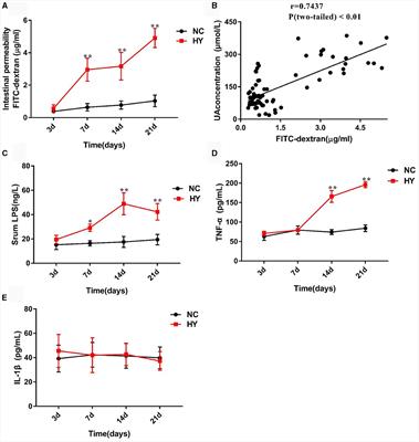 Corrigendum: A dynamics association study of gut barrier and microbiota in hyperuricemia